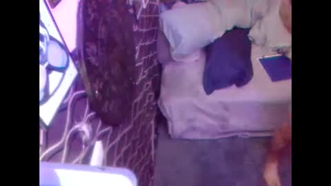 denveversbb online show from 5, 10, 2025