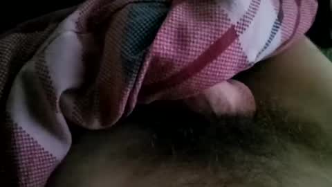 der_wanderer12 online show from 8, 11, 2025