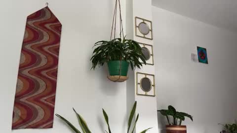 Desidias online show from 22, 10, 2025