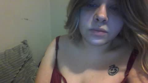 devykitten online show from 17, 12, 2025