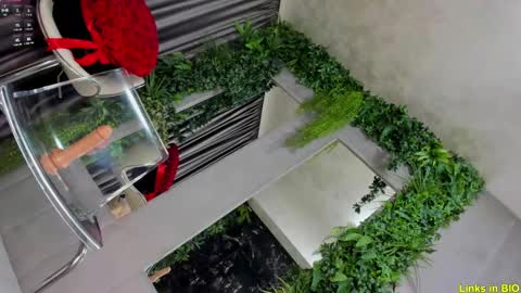 Jo online show from 8, 2, 2025