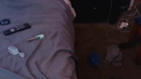 Sparkx online show from 3, 12, 2024