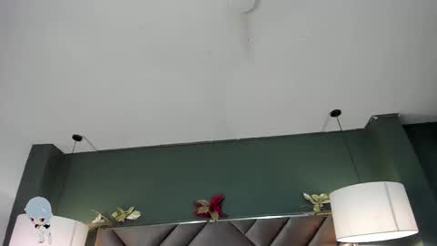 Snapshot of dickie_dicking chatting on 29, 11, 2025 dickie_dicking online show from 29, 11, 2025