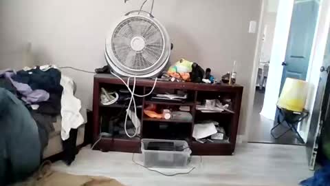 Daddy online show from 19, 3, 2026