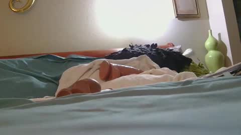 dildosnme22 online show from 10, 2, 2026