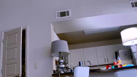 Dilldough405 online show from 11, 2, 2025