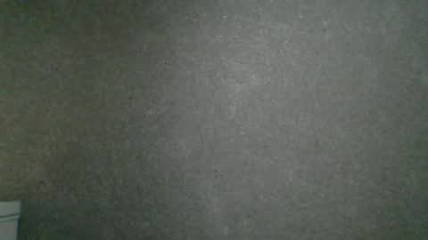 Snapshot of dimasvit5306 chatting on 13, 6, 2026 dimasvit5306 online show from 13, 6, 2026