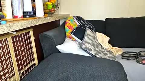 Snapshot of dimepiecexxx chatting on 13, 7, 2026 Sofie online show from 13, 7, 2026