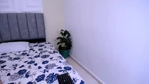 DINA online show from 2, 3, 2026