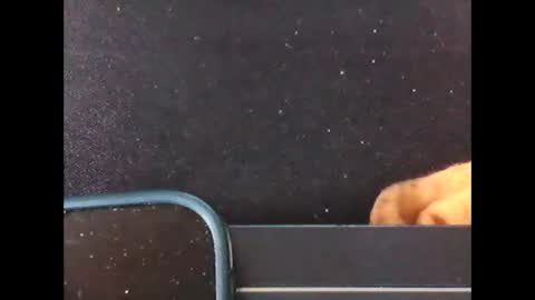 Snapshot of diogominer2 chatting on 24, 11, 2025 diogominer2 online show from 24, 11, 2025