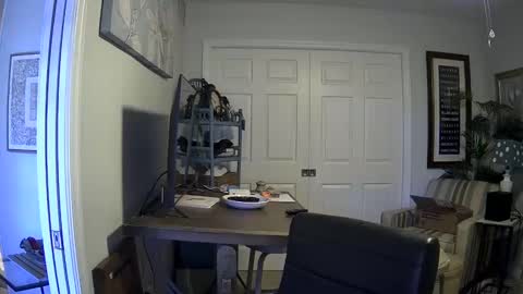 DirtkPitt Fun guy working online show from 4, 1, 2025