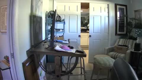 DirtkPitt Fun guy working online show from 1, 2, 2025