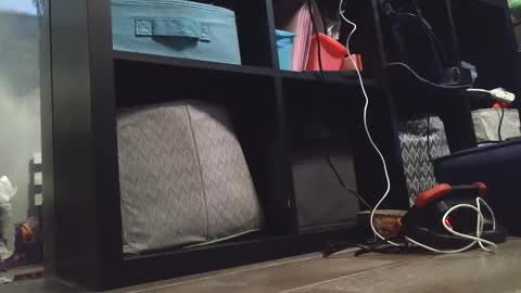 Daisy Wylde online show from 27, 12, 2024