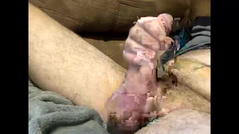 Dirtykurty5000 online show from 12, 9, 2025