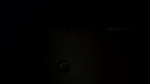 Snapshot of dixkzilla chatting on 20, 10, 2025 dixkzilla online show from 20, 10, 2025