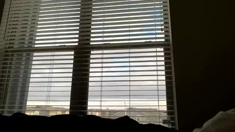 dj9469615 online show from 22, 3, 2026