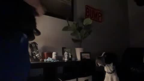 DJ Chaterbate online show from 10, 3, 2026