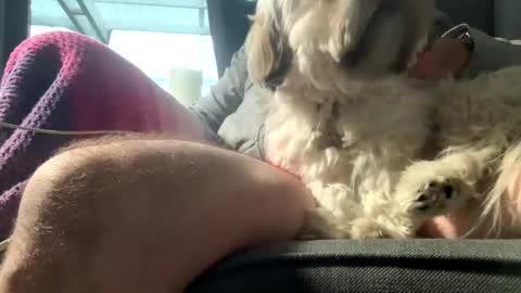 DKdad online show from 15, 12, 2025