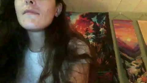 dnr2026 online show from 28, 7, 2026