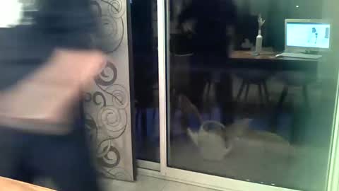 Snapshot of doggydaddi chatting on 2, 12, 2024 Alex online show from 2, 12, 2024