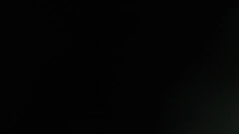 Ludika Santiago online show from 1, 4, 2026