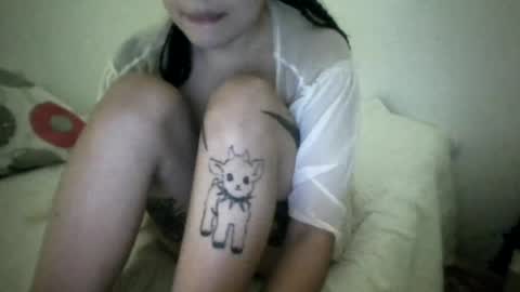 doll_dollys_ online show from 17, 7, 2026