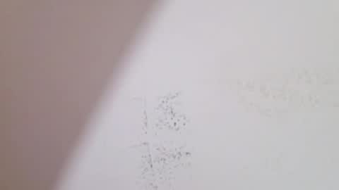 dolysex2026 online show from 6, 4, 2026