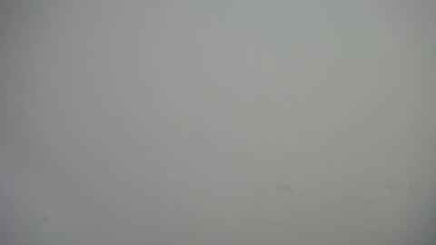 dominic_sofia online show from 16, 9, 2025