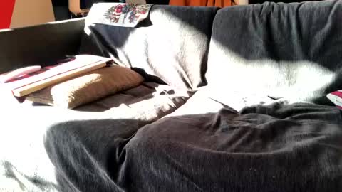 Alfredo online show from 16, 12, 2024