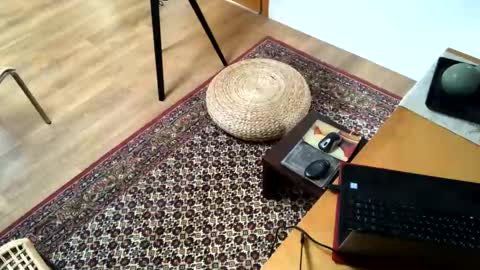 Alfredo online show from 2, 2, 2025