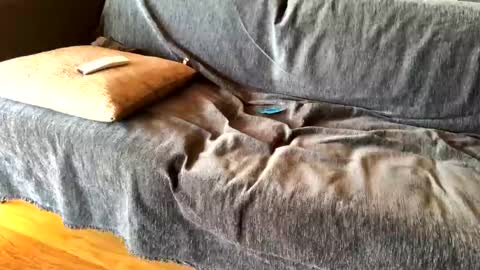 Alfredo online show from 20, 2, 2025