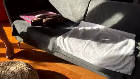 Alfredo online show from 2, 12, 2025