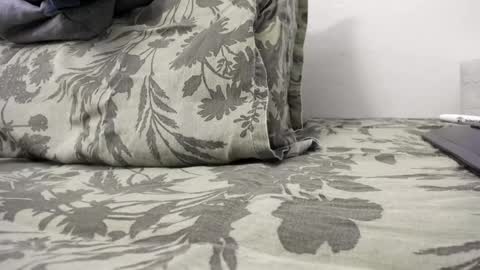 menu  below online show from 31, 12, 2024