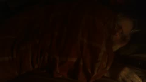 Hello  welcome to Slutsville  I am the Naked Chef  really  but you may call me Peter online show from 25, 12, 2024