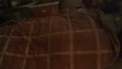 Hello  welcome to Slutsville  I am the Naked Chef  really  but you may call me Peter online show from 29, 12, 2024