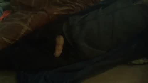 Hello  welcome to Slutsville  I am the Naked Chef  really  but you may call me Peter online show from 11, 2, 2025