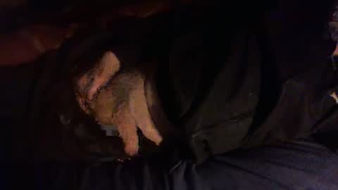 Hello  welcome to Slutsville  I am the Naked Chef  really  but you may call me Peter online show from 8, 1, 2026