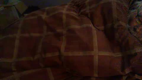 Hello  welcome to Slutsville  I am the Naked Chef  really  but you may call me Peter online show from 12, 2, 2026