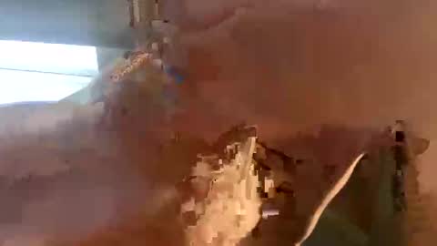 doug_funnie online show from 6, 4, 2026