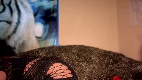 Snapshot of dove_love22 chatting on 9, 1, 2026 dove_love22 online show from 9, 1, 2026