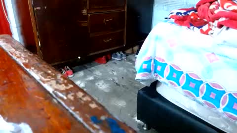 dreamreal online show from 10, 11, 2025