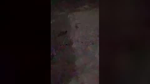 dreamerdick101 online show from 19, 12, 2025