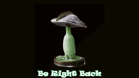 Tara  Sonny online show from 4, 4, 2026