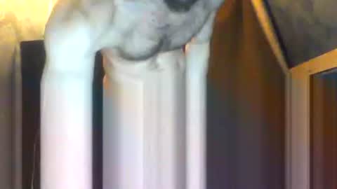 drippydickboy online show from 5, 2, 2026