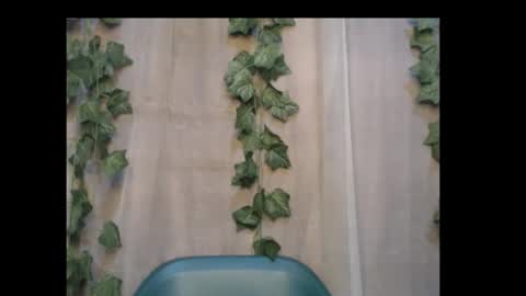 Snapshot of dripqueenx chatting on 3, 10, 2025 linda online show from 3, 10, 2025