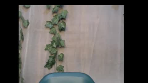 Snapshot of dripqueenx chatting on 18, 10, 2025 linda online show from 18, 10, 2025