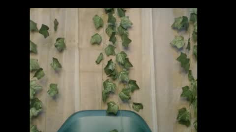 Snapshot of dripqueenx chatting on 26, 10, 2025 linda online show from 26, 10, 2025