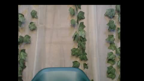 Snapshot of dripqueenx chatting on 31, 10, 2025 linda online show from 31, 10, 2025