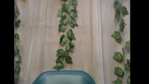 Snapshot of dripqueenx chatting on 8, 11, 2025 linda online show from 8, 11, 2025