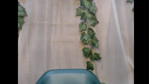 Snapshot of dripqueenx chatting on 12, 11, 2025 linda online show from 12, 11, 2025